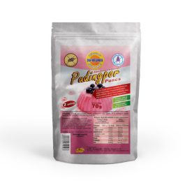 Dia-Wellness puncs pudingpor 70g